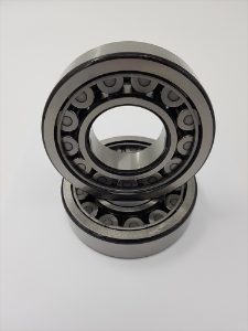pm100 rotor bearings