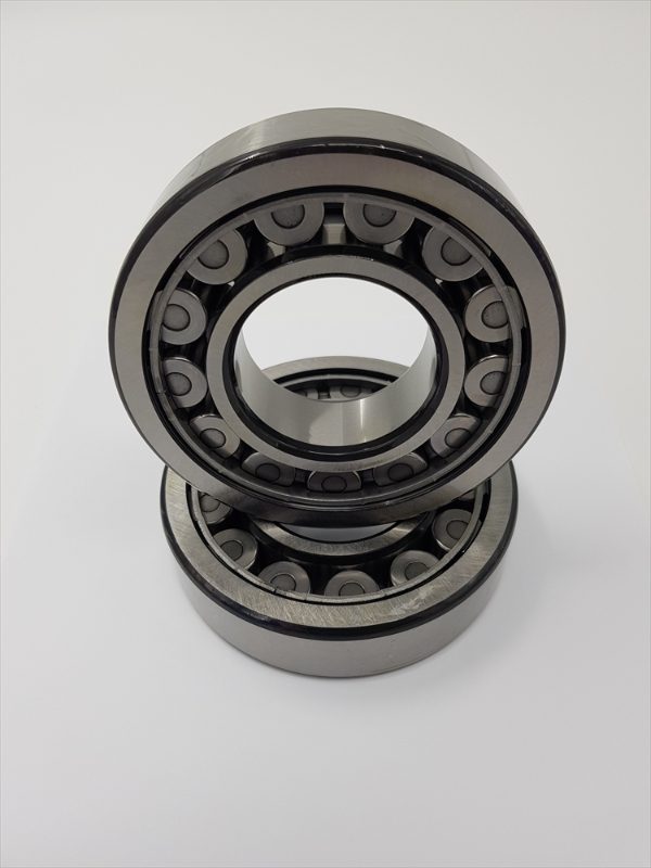 pm100 rotor bearings